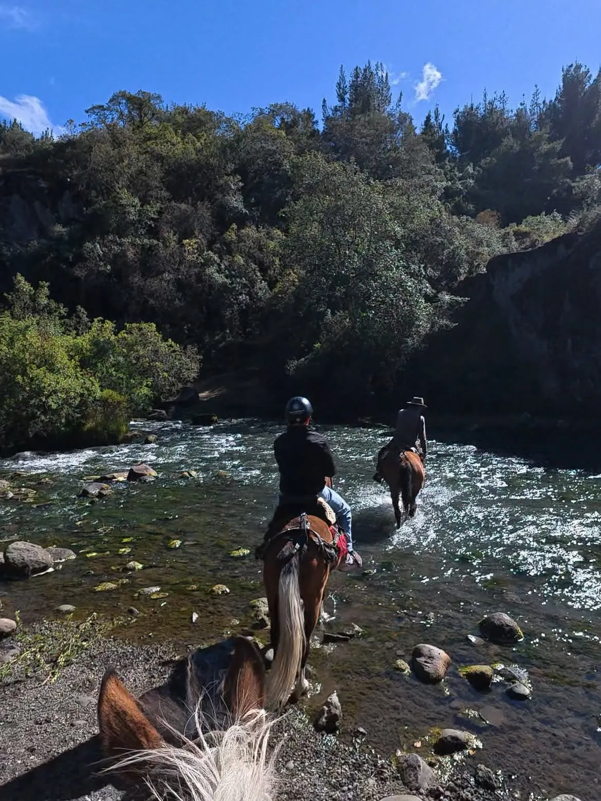 Riders crossing a páramo river on horseback
